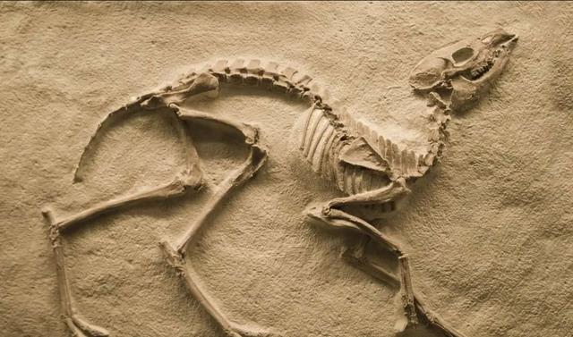 25万年前铁器现身,史前文明真实存在?达尔文进化论真要被推翻?