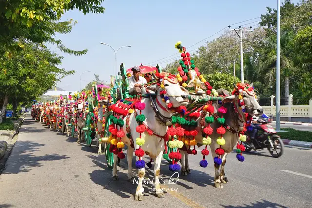 民族|缅甸街头偶遇民族风情，其实磅礴牛车巡游，充满喜庆