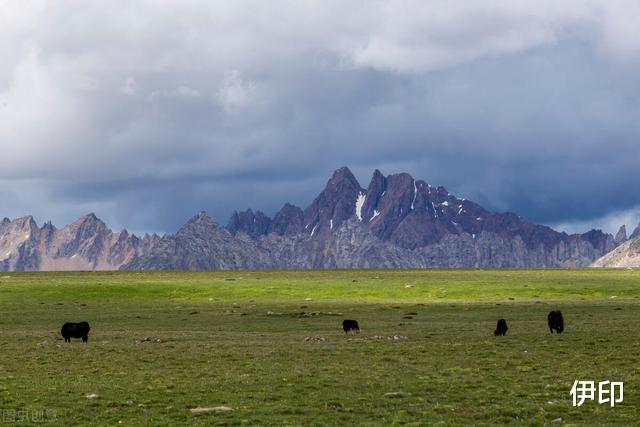 旅行|疫情时期的旅行：本是摩旅进藏成为一生传奇，没想落魄睡在水泥地