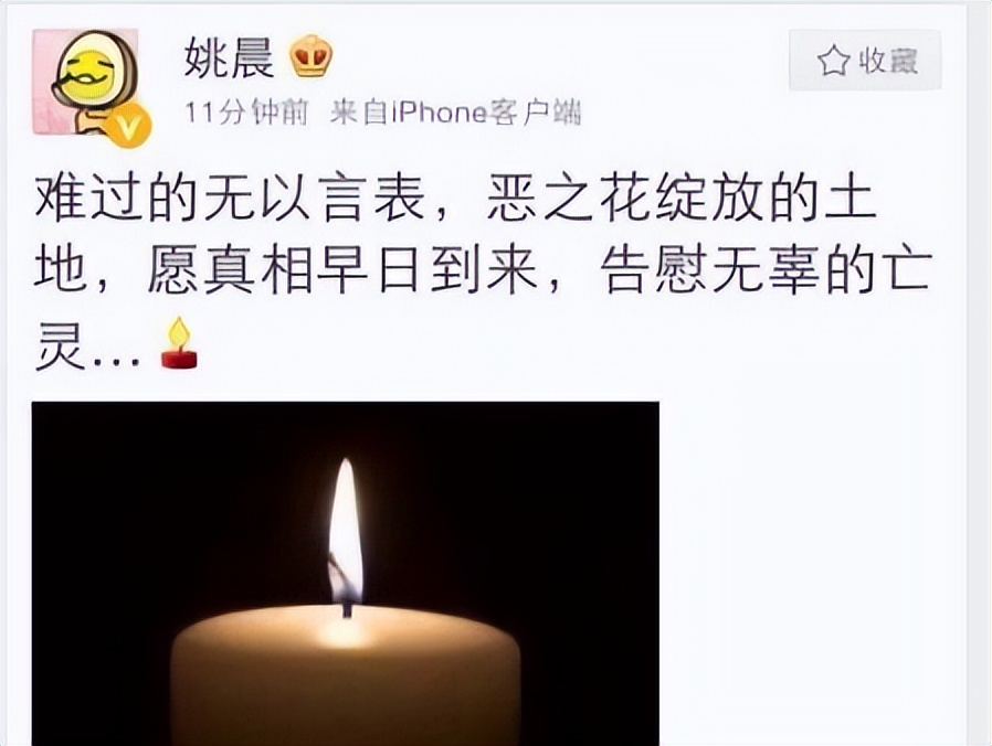 姚晨|表面是圣母白莲花，实际上“又当又立”，求求这5位女星别再装了