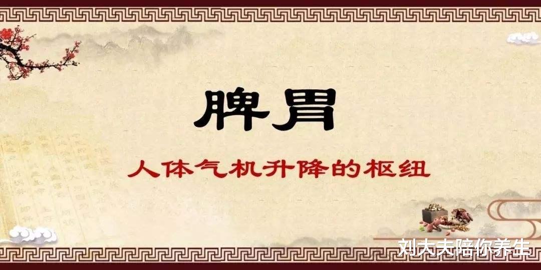健脾|脾胃是长寿的根本！2个经典食疗方，健脾祛湿、滋阴润脾！