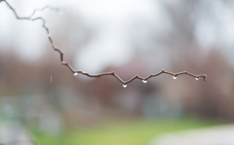 |为什么赚不到钱，也许是你的思维方向颠倒了