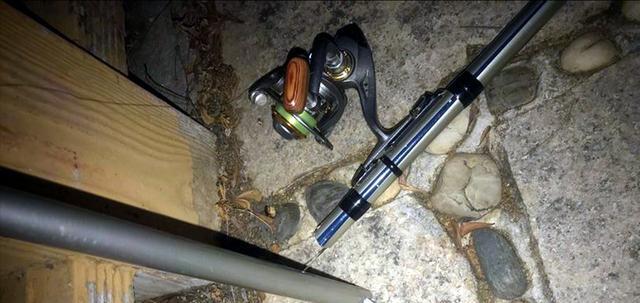 三亚|海南一男子河里夜钓，罕见收获“米级”花鳗鲡，网友：保护动物