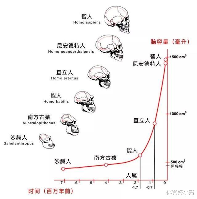 为什么进化让人变成“裸体”，却留下了头和隐私部位的毛发？