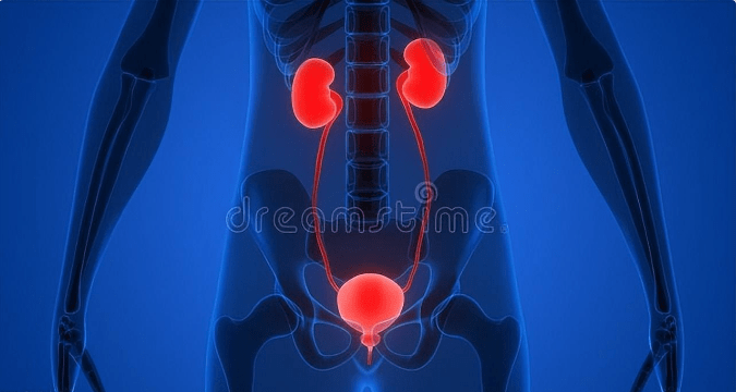 桂枝|肌酐升高后,按照三步走控制好两项指标,尿毒症不易来