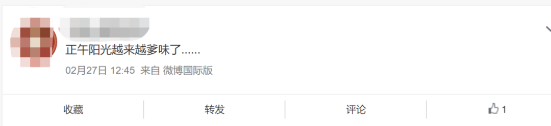 姐姐|9分崩到0分,摆烂成这样?