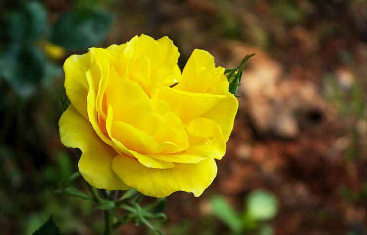 “你凭什么卖掉小叔的婚房”:拎不清的婆婆,成了“罪魁祸首”