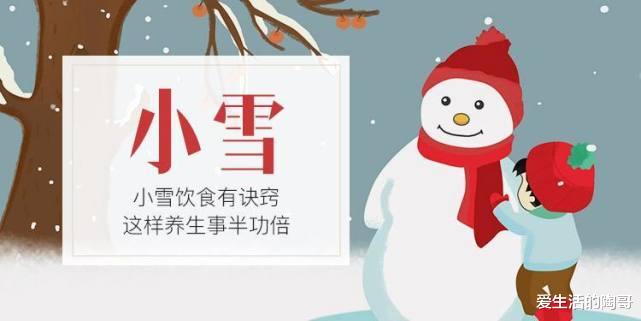 老话说“小雪进补吃4宝,不把医生找”!4宝是啥?为过冬打好基础