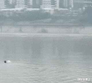 溺水|重庆男子下水捞鱼竿!为何会游泳还会溺水?