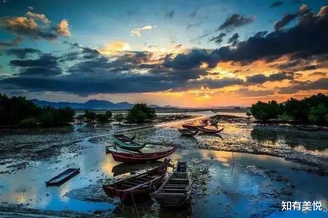 胡杨林|人少不挤,当季最美,这9个小众旅行地,这个夏天一起去探秘吧