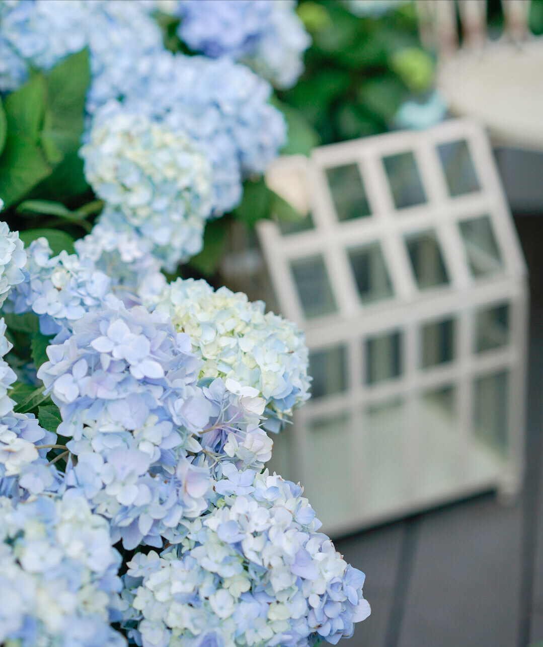 35㎡楼顶露台，亲手打造空中小花园，这才是顶楼的正确打开方式