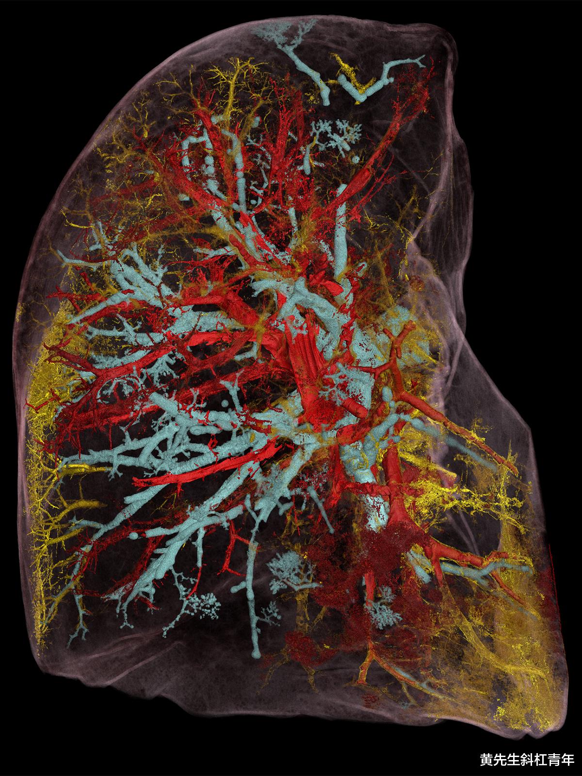 Google|谷歌地球、谷歌地图和谷歌天空之后,也许有一天我们会有一个谷歌身体搜索的工具!