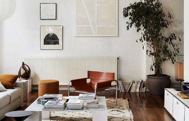 一人独居,与狗为伴,工作生活两不误,这位90后的日子过得真香