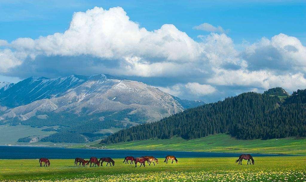 穆铁柱|2008年穆铁柱病逝，儿女都是正常身高，都没有继承父亲的事业