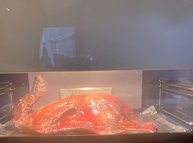 李湘|46岁李湘分享居家日常，在豪宅内做烤鸭，烤箱价格引热议