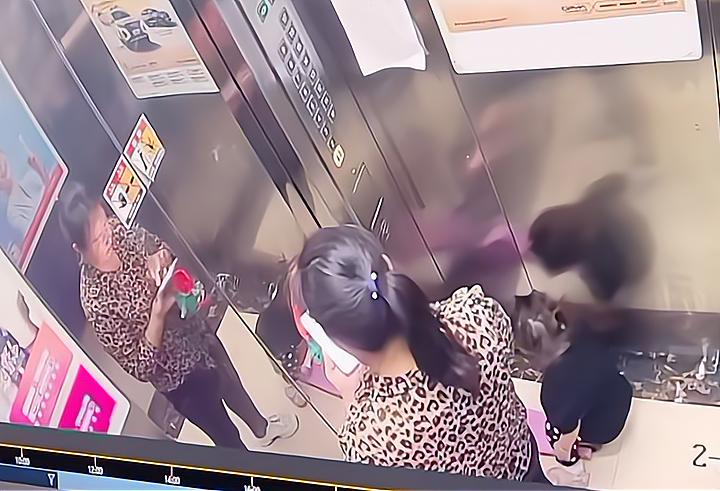 撒谎成性!保姆“上班仅6天”毁掉一个家庭:2岁女童从8楼坠亡!