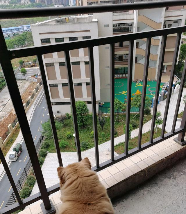 房贷|月供八千！40岁男子突然失业，将还不起房贷、养不起孩子，很痛苦