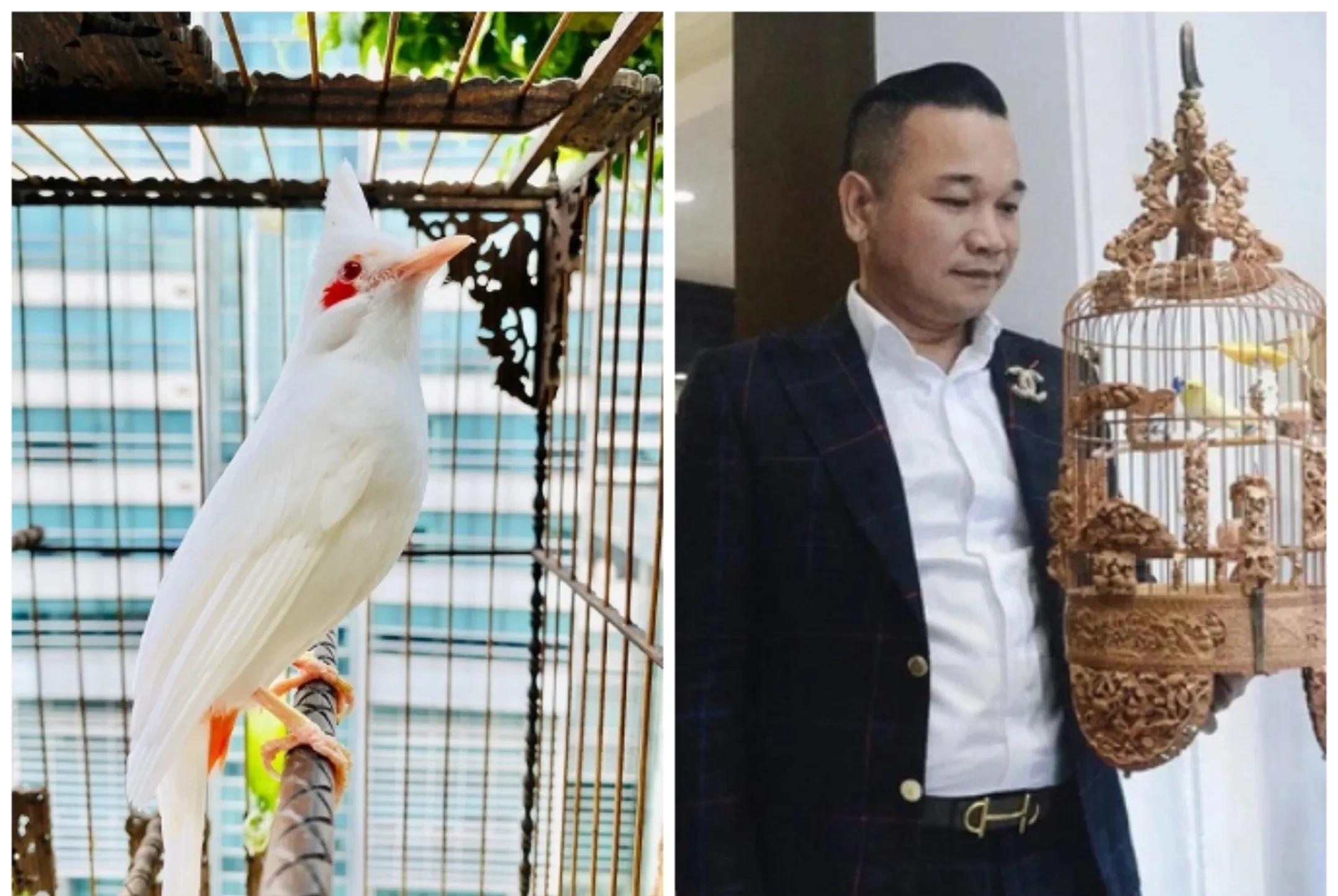 2018年他花178元买下一只怪鸟,结果2年后出价14万都不肯卖