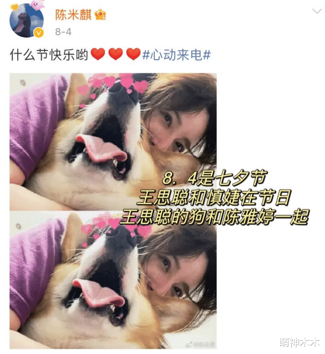 汪小菲|两天之内7个瓜!复合劈腿、二次离婚、犯重婚罪,豪门争斗太抓马