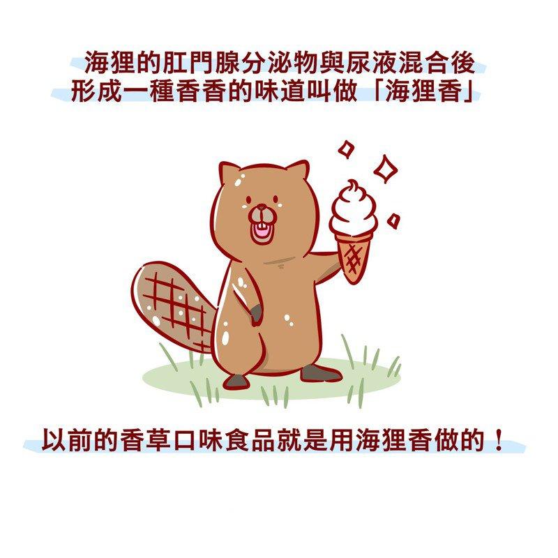又是入侵物种!上海多地发现“巨型老鼠”,谁能降服它们?