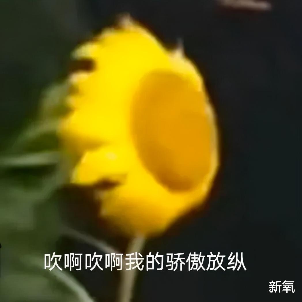 韩天宇|凭一己之力盘活奥运直播间，说他是社交悍匪没意见吧？