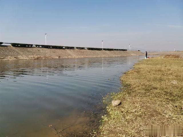 饵料|独自钓鱼总爆护,结伴出钓就空军?并非迷信,告诉你真正的原因