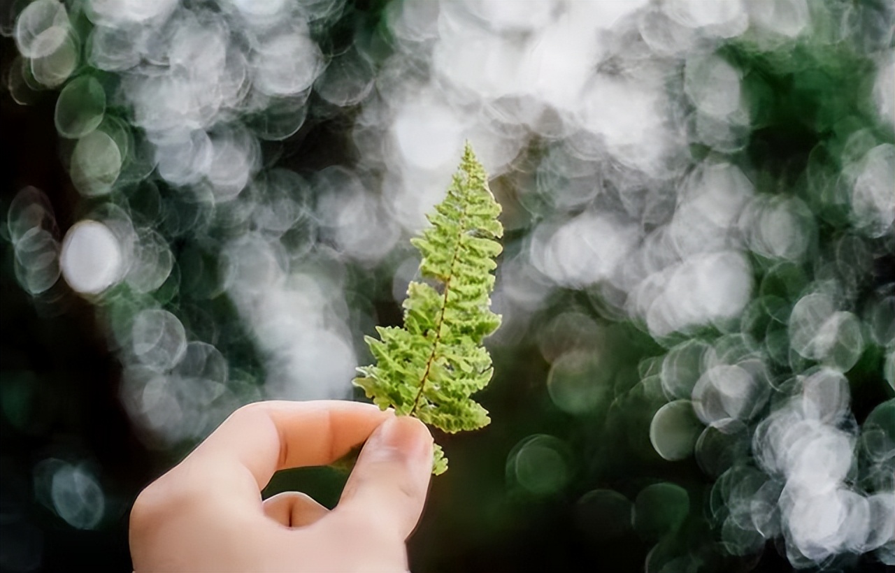 退休|退休后，情商高的人不会炫耀这几件事，情商低的人却逢人便说
