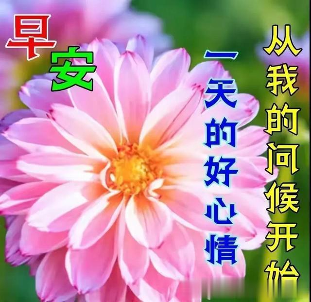 生肖|生肖·问候祝福美图分享（一）