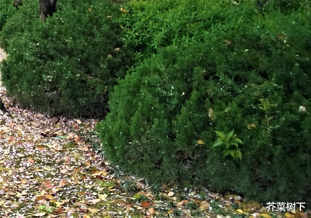 |客户丢了，怎么办哪？