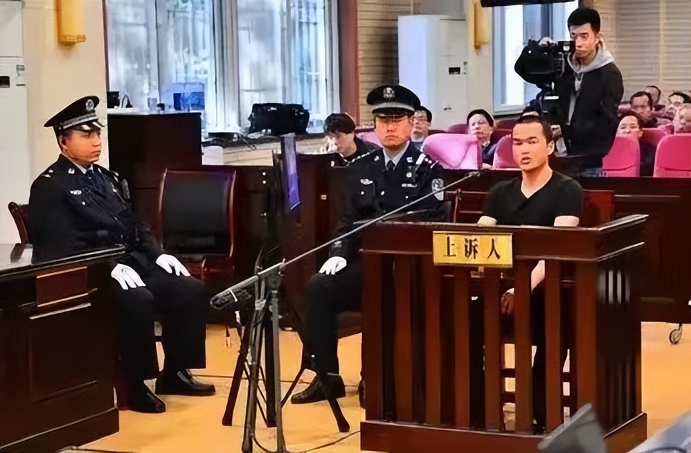 儿时亲眼目睹母亲被害,入伍强身20余年后为母报仇,竟灭仇家满门