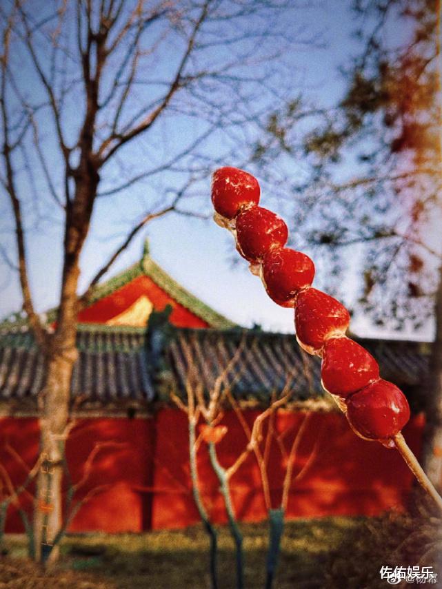 杨幂|杨幂蓝色短发造型美如精灵,大眼灵动超清纯,惬意生活惹人羡