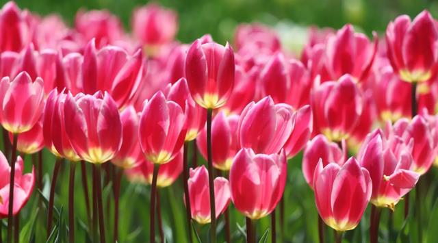 白羊座|变心最快，说不爱就不爱的星座，不把精力和时间浪费在错的人身上