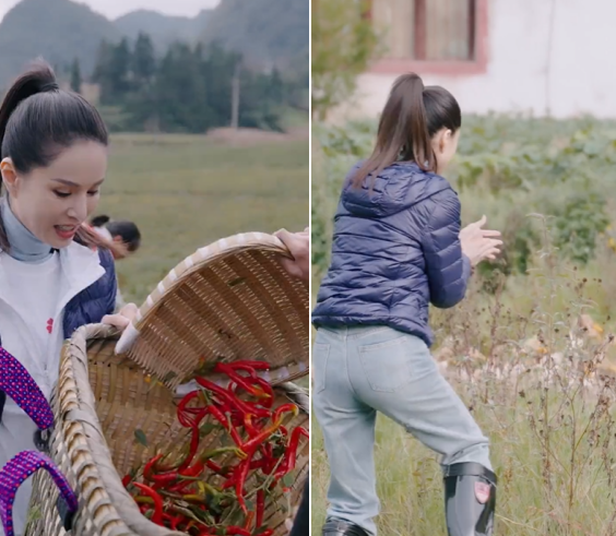 李若彤|李若彤下乡做公益！为孩子包饺子梳头太亲切，赶鸭子摘辣椒接地气