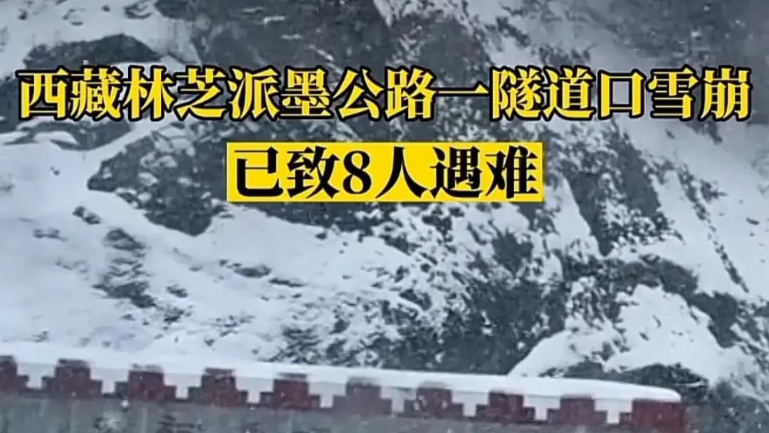 西藏|太揪心！西藏某隧道口发生雪崩，已致8人遇难