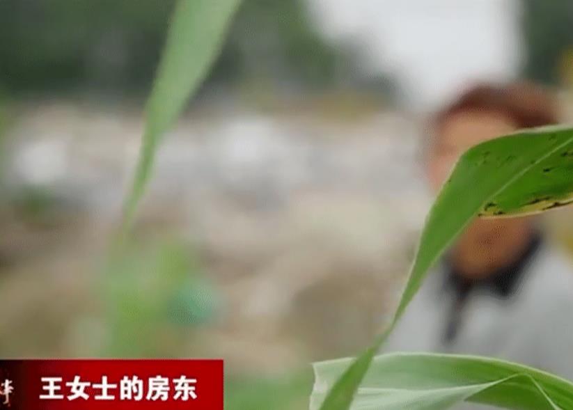 2019年,两男一女同床共枕酿成惨案,妻子:丈夫值夜班,让男同事睡我