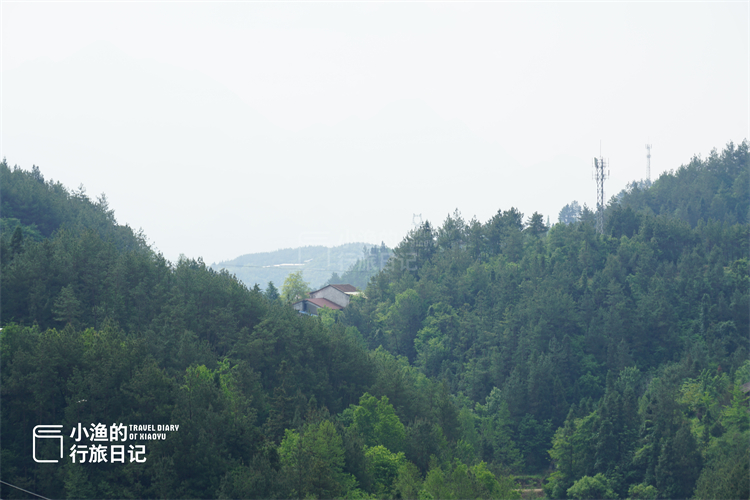 自驾|自驾210国道,我来到了川陕交界!坠入绿野仙踪的秘境