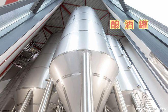 基因编辑酵母菌酿啤酒！科学家称口味更好，你敢喝吗？