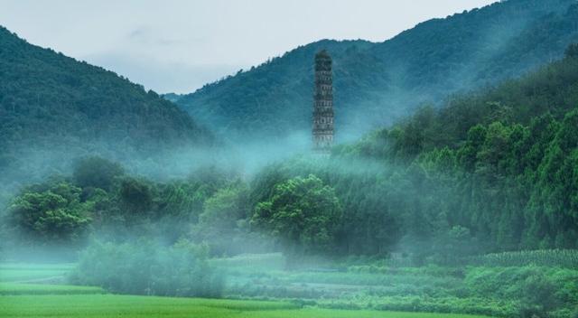 荷花|浙江有3座“不起眼”的小城,悠闲慢节奏,择一城终老,你会去哪