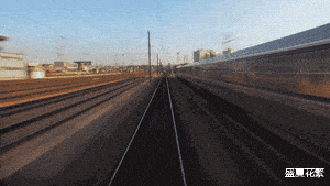 “进公司第一天,开饭半小时,没人动筷子!”