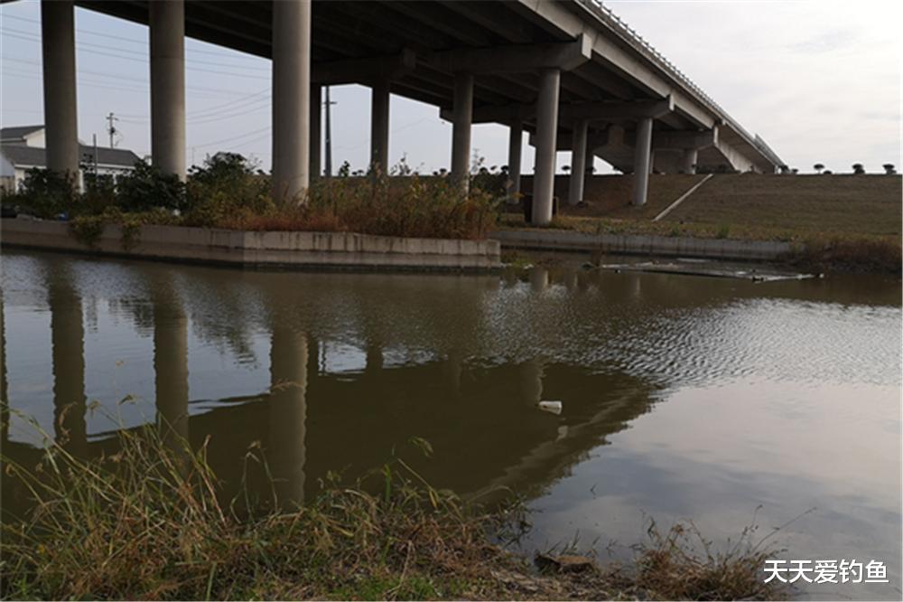 饵料|寒冬野钓，这几种深水有鱼窝，选对了位置，把饵料递到鱼嘴边