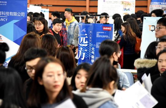 衬衫|大公司HR揭露求职内幕：不招“三无家庭”的本科生，残酷又现实