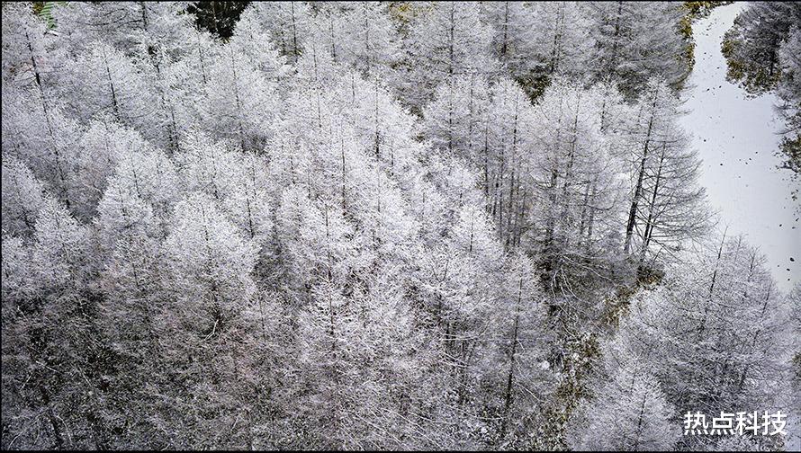 shopee|创维Q31 Pro电视评测：不仅仅是你的家庭娱乐中心