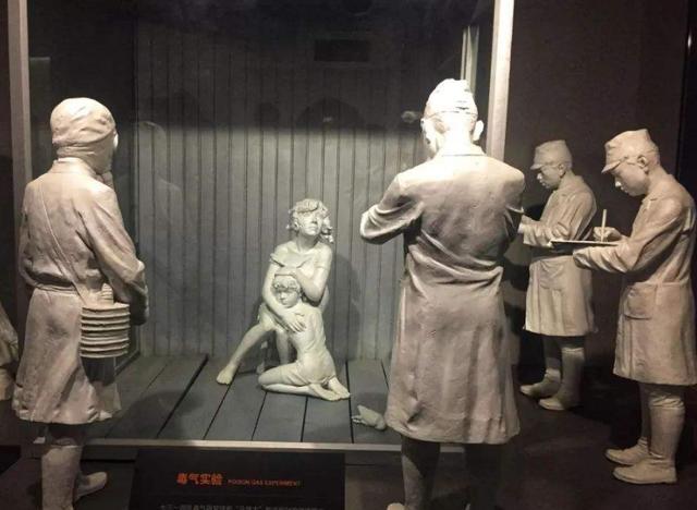 77岁老太切除多器官去世医院担责8成,不做活检凭同意书自由发挥