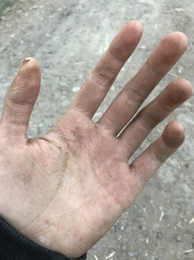 宰羊少女曝婚变:丈夫喝酒家暴不带娃不工作,大姑姐吸血婆婆pua