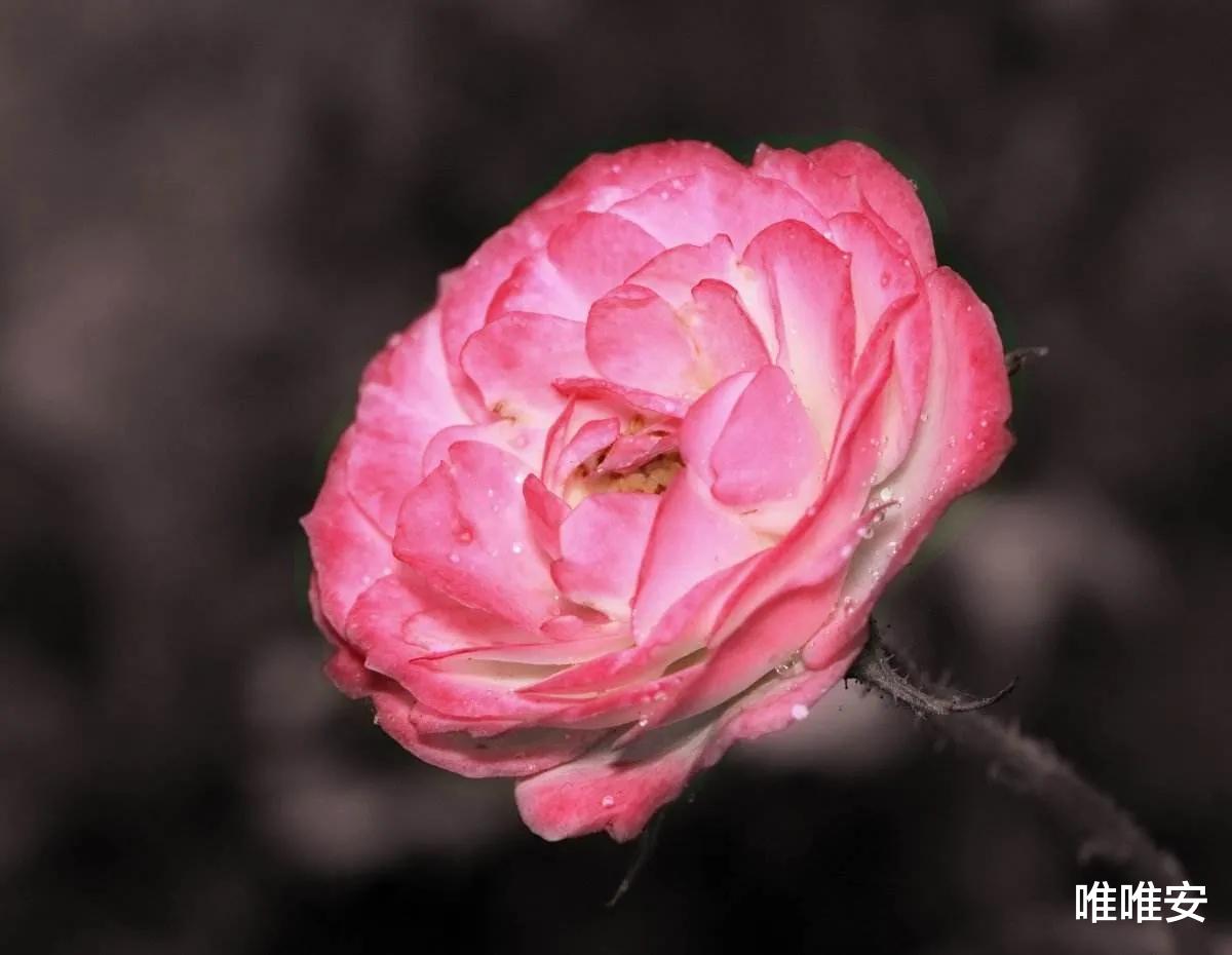 求职|我27岁，娃1岁，父母失业：帮父母找工作发现，太多中年人在求职的路上