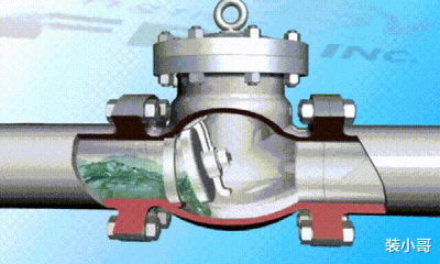 在马桶里放了洁厕灵后,才发现每天都在喝“马桶水”,真的好恶心