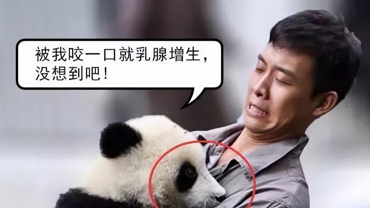 袁立|以为是假新闻，其实是真事，张译、韩庚、袁立，个个离谱又无语