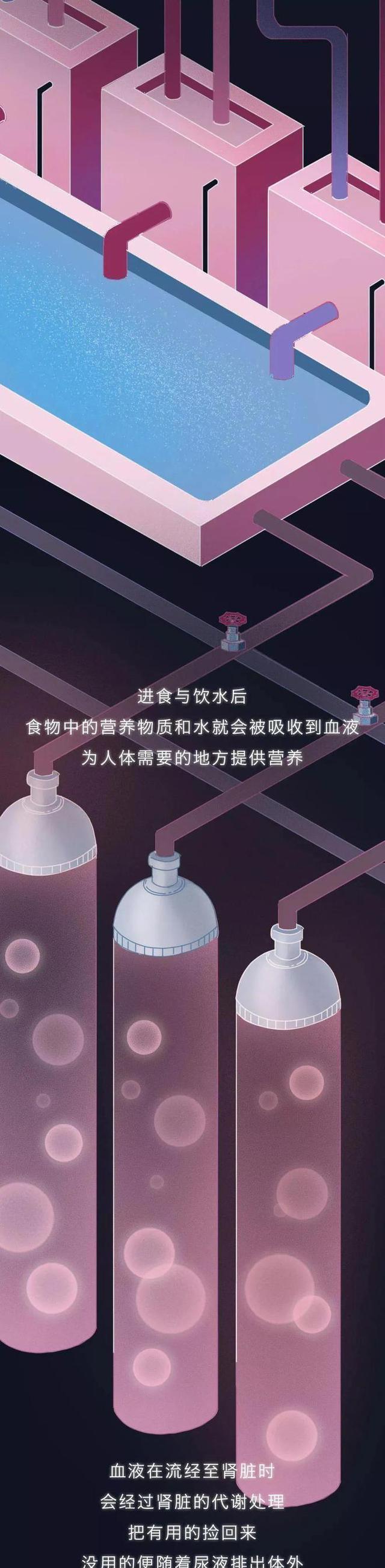 针灸|肾是如何被“掏空”的？一文为你揭晓全过程（替好友来看看）