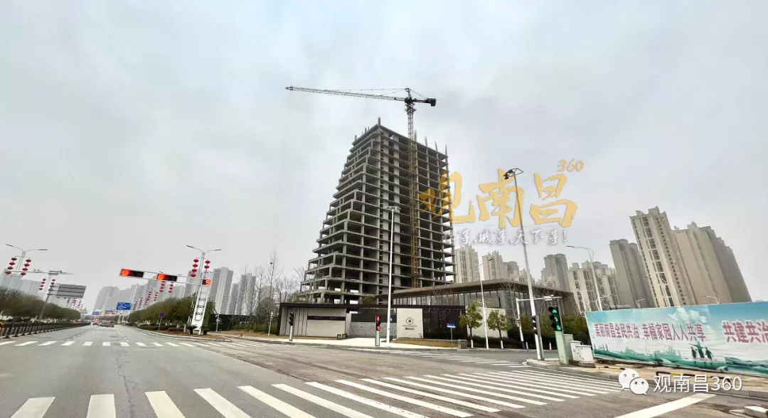 九龙湖|九龙湖，这个暂停的项目，终于动了！