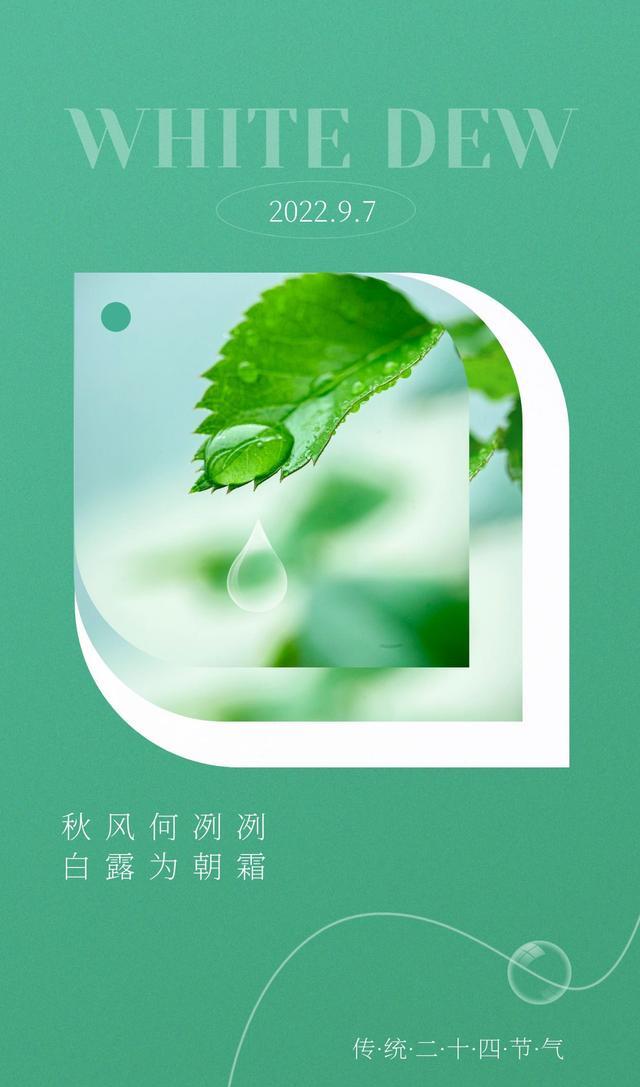 白露图片配图唯美高清带字大全,白露朋友圈问候语文案句子